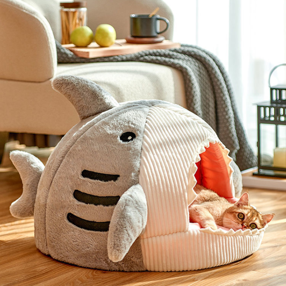 The Shark Comfy Bed