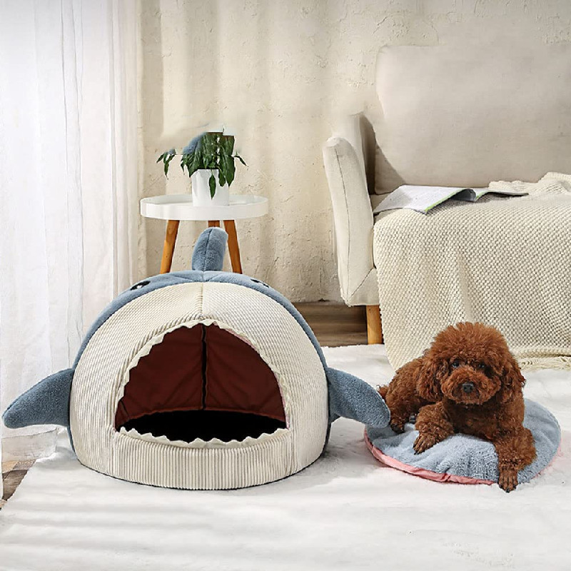 The Shark Comfy Bed