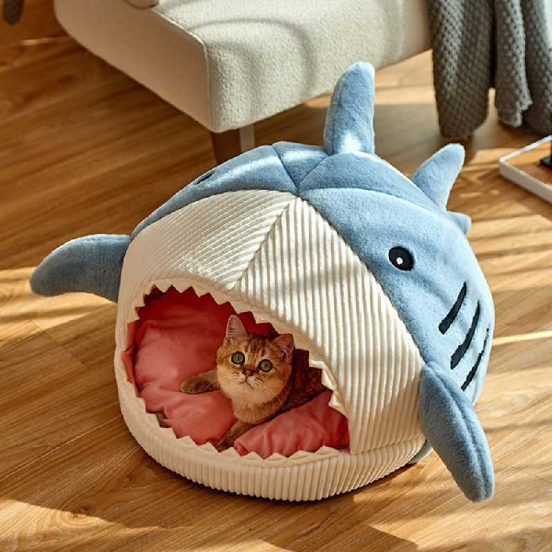 The Shark Comfy Bed