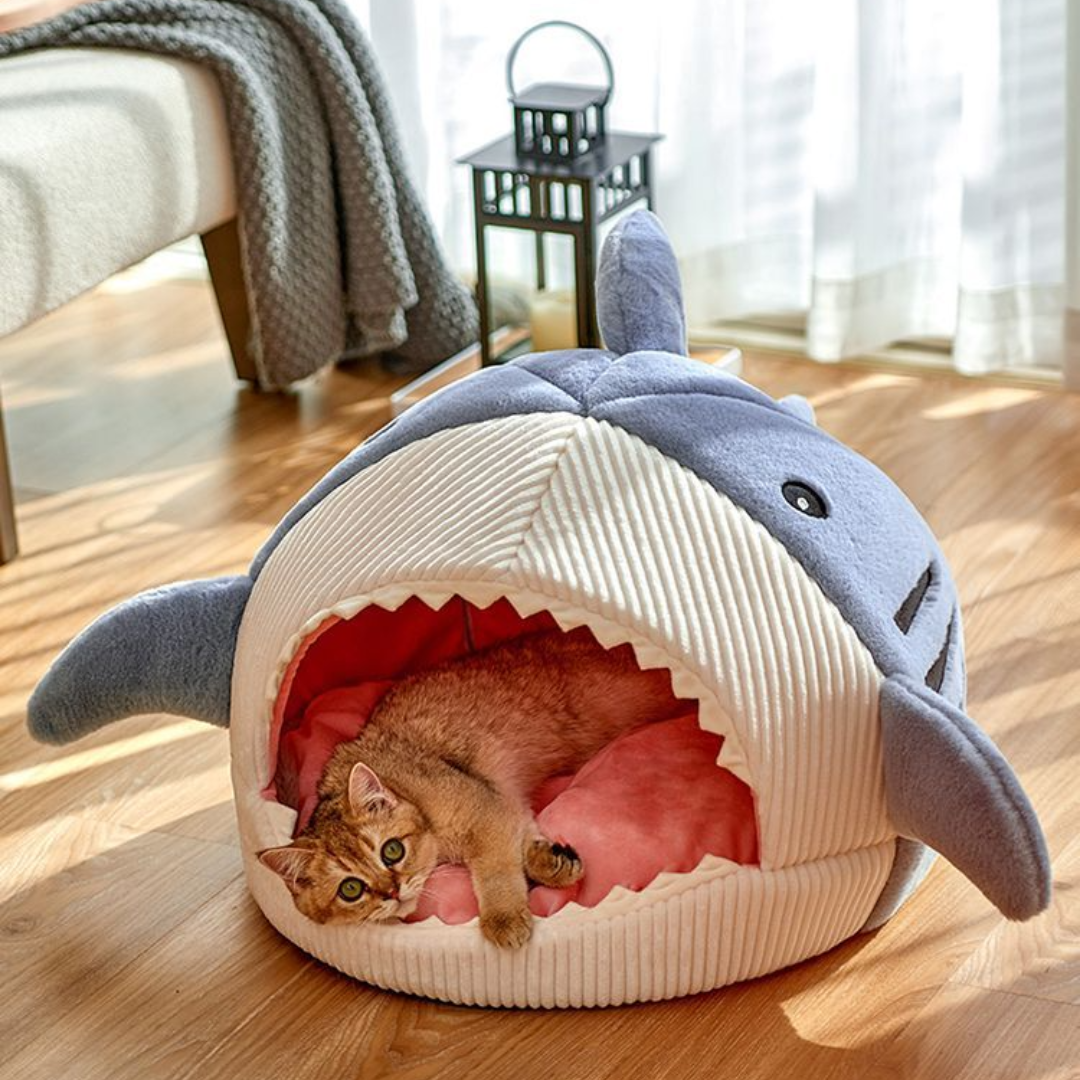 The Shark Comfy Bed